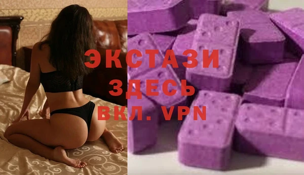 индика Дмитров