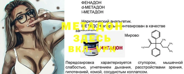 индика Дмитров