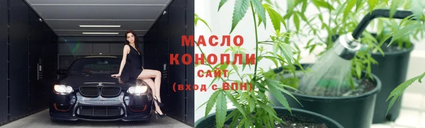 индика Дмитров