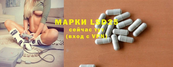 стаф Дмитровск