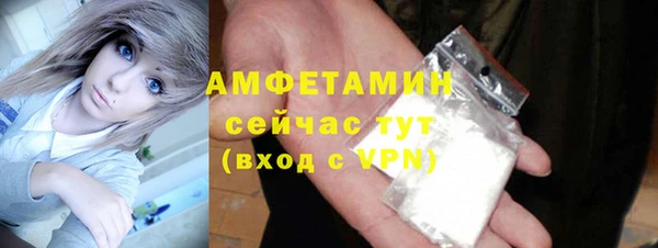 индика Дмитров