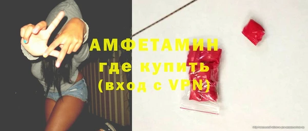 стаф Дмитровск