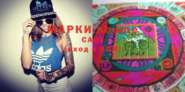 индика Дмитров