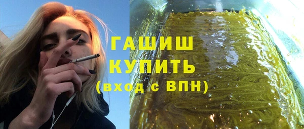 индика Дмитров