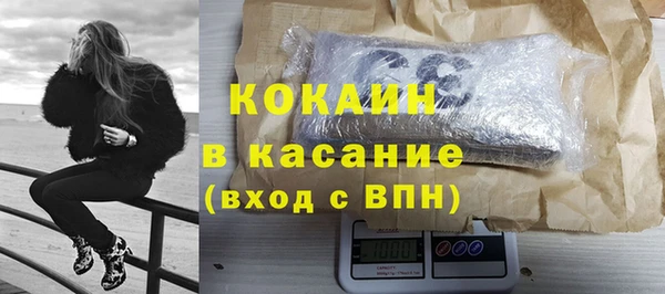 стаф Дмитровск