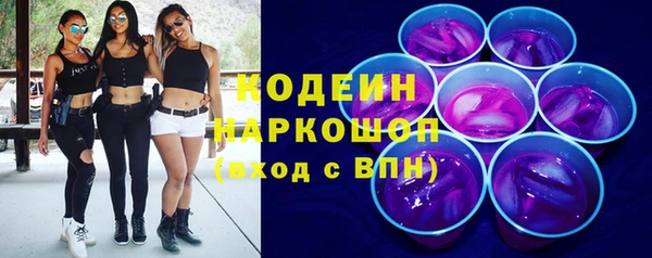 индика Дмитров