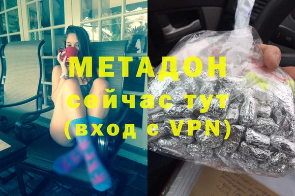 индика Дмитров