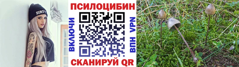 omg ссылки  Волгодонск  Галлюциногенные грибы мицелий  как найти  